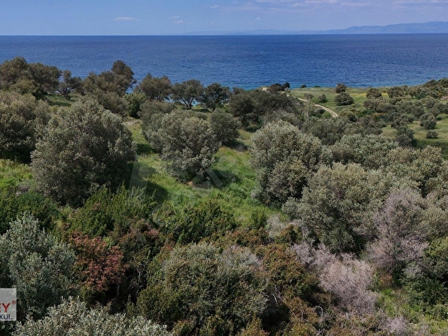 Hamdi Beyin Teklifi KUMBÜKÜ KOYUNA 350 MT MESAFEDE 1.336 M2 ... - Görsel 11