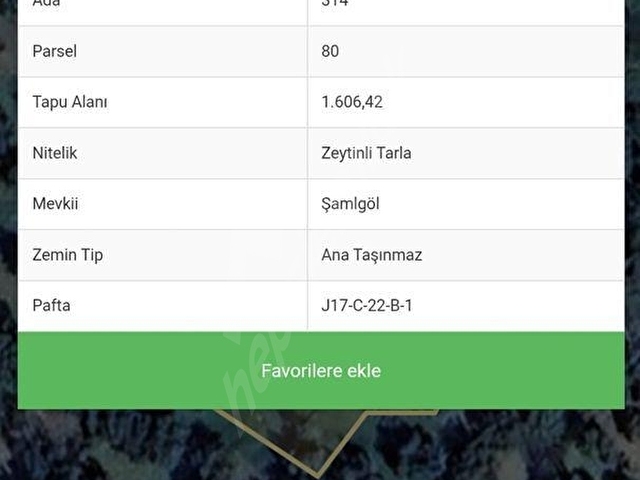 Bademlide Panaromik Deniz Manzaralı Satılık Zeytinli Tarla - Görsel 15