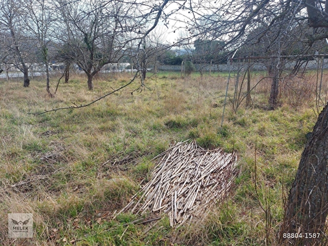 ÖĞÜMCE ANA YOL ÜZERİNDE 2 PARSEL TOPLAM 3700M2 ARSA VE BAĞ EVİ - Görsel 5