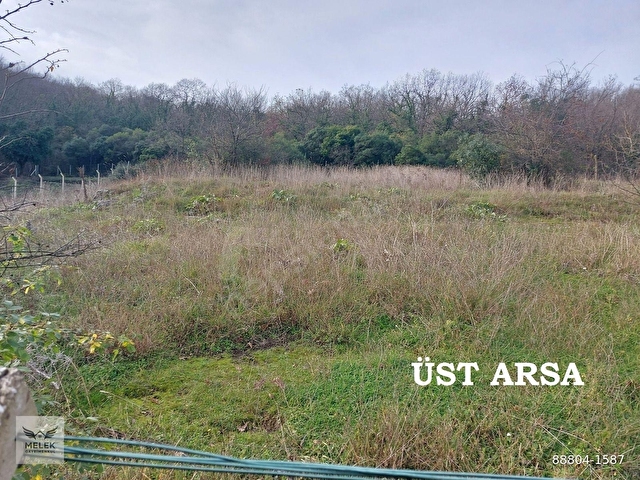 ÖĞÜMCE ANA YOL ÜZERİNDE 2 PARSEL TOPLAM 3700M2 ARSA VE BAĞ EVİ - Görsel 8