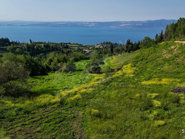 UZMANLARDAN KOCAELİ KARAMÜRSEL KARAPINARDA DENİZ VE DOĞA MANZARALI 27524 M2 SATILIK TARLA - Görsel 19
