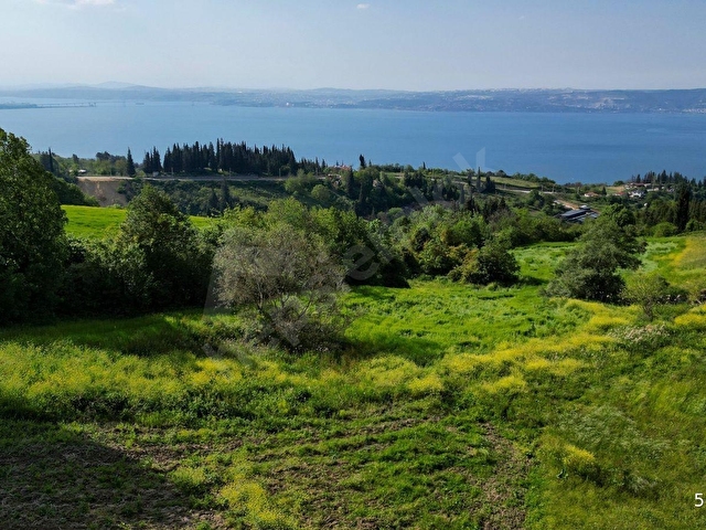 UZMANLARDAN KOCAELİ KARAMÜRSEL KARAPINARDA DENİZ VE DOĞA MANZARALI 27524 M2 SATILIK TARLA - Görsel 18