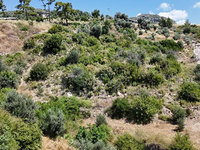 İNFO MANAVGAT TİLKİLERDE ACİL! 2527m² KÖY İÇİ FIRSAT TARLASI - Görsel 8