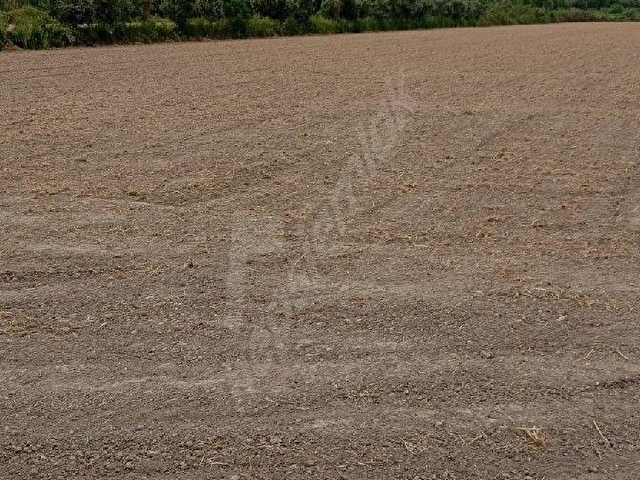 Kuyucak azizabat Mahallesinde satılık mükemmel bir tarla - Görsel 2