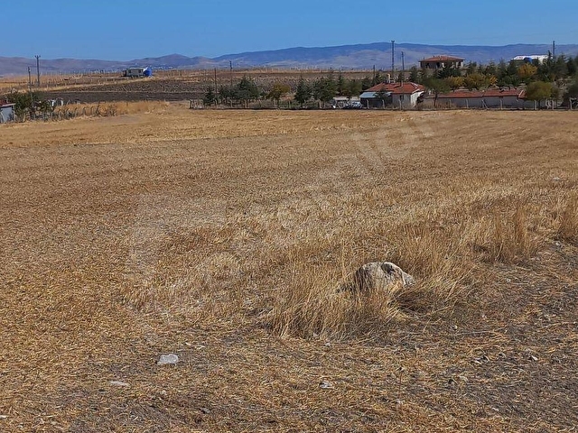 Ahibozda satılık 300 metre çevrili hobi bahçesi