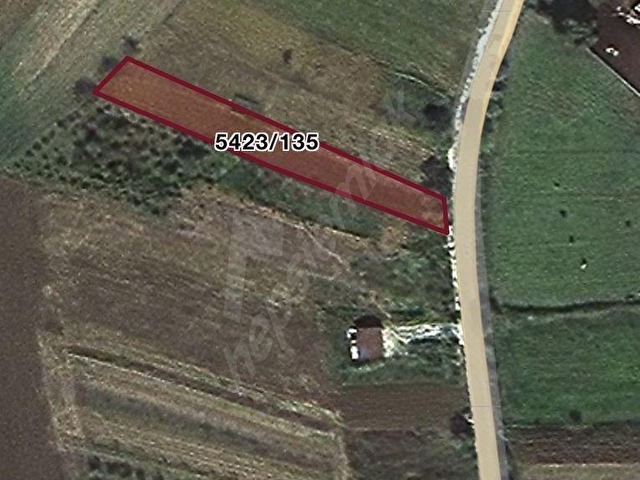 Adapazarı Salmanlı köy girişinde Dallas sonrası 1232 yola cepheli - Görsel 5