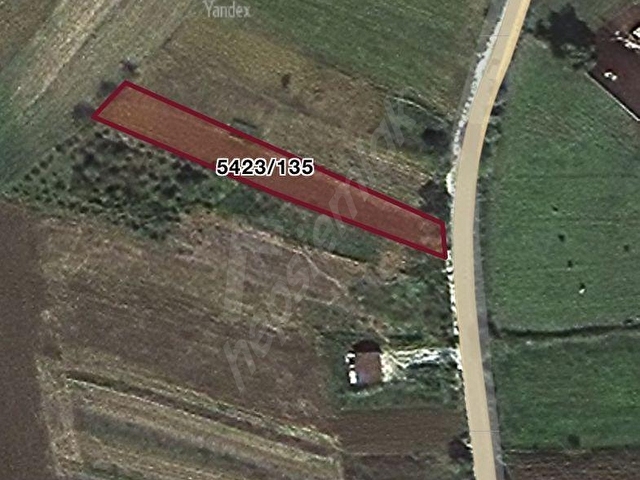 Adapazarı Salmanlı köy girişinde Dallas sonrası 1232 yola cepheli - Görsel 6