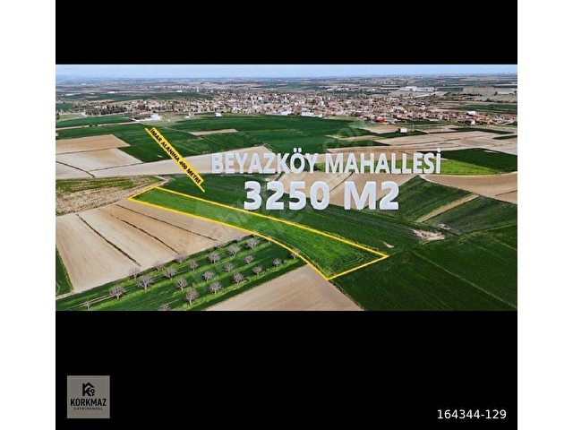 Saray Beyazköy MahallesindeSatılık Tarla ( 3.250 m2 ) Müstakil Tek Tapu