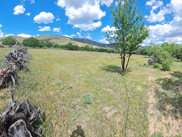 ISPARTA ATABEY HARMANÖREN YOLU SUYU OLAN 3 PARSEL 4762 M2 TARLA - Görsel 8