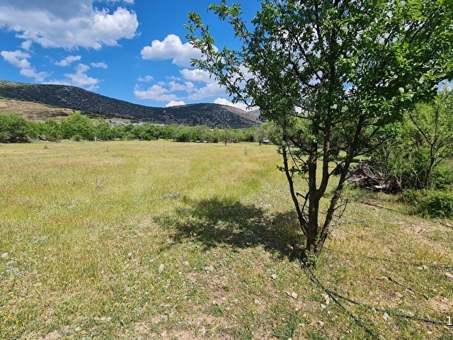 ISPARTA ATABEY HARMANÖREN YOLU SUYU OLAN 3 PARSEL 4762 M2 TARLA - Görsel 2