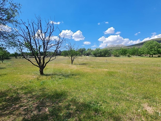 ISPARTA ATABEY HARMANÖREN YOLU SUYU OLAN 3 PARSEL 4762 M2 TARLA - Görsel 13