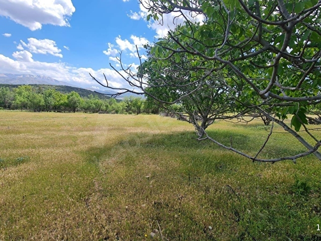 ISPARTA ATABEY HARMANÖREN YOLU SUYU OLAN 3 PARSEL 4762 M2 TARLA - Görsel 7