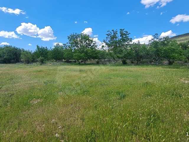 ISPARTA ATABEY HARMANÖREN YOLU SUYU OLAN 3 PARSEL 4762 M2 TARLA - Görsel 12