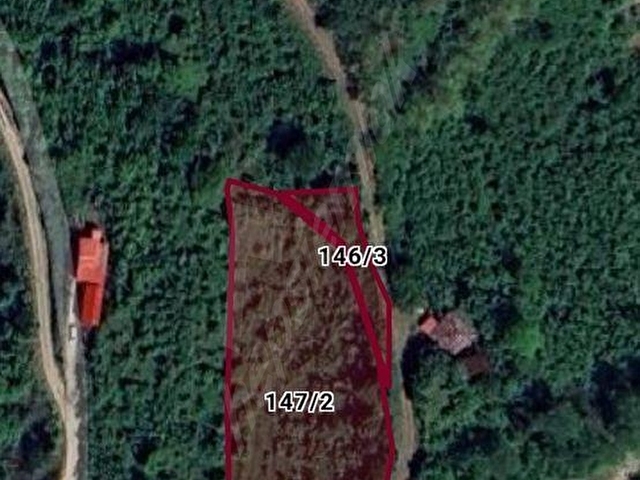 TUĞRA EMLAKTAN MAKSUTLUDA 3.700 M2 FINDIK BAHÇESİ