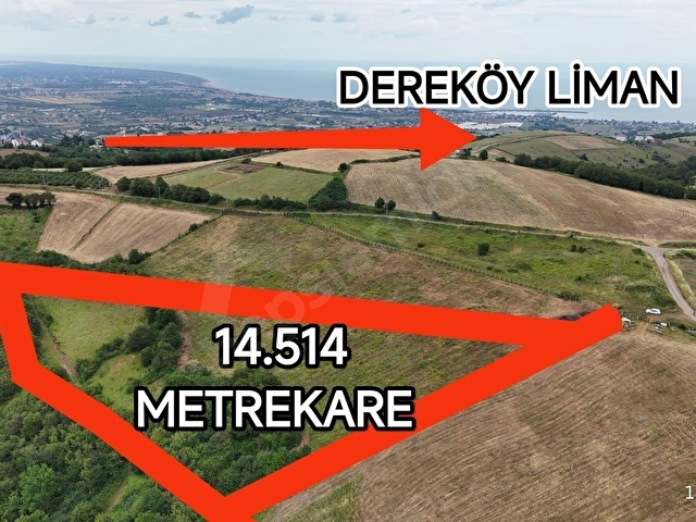 14.500 METREKARE KOCA ARAZİ! YÜKSELEN DEĞER KURUGÖKÇEDE FIRSAT! - Görsel 4