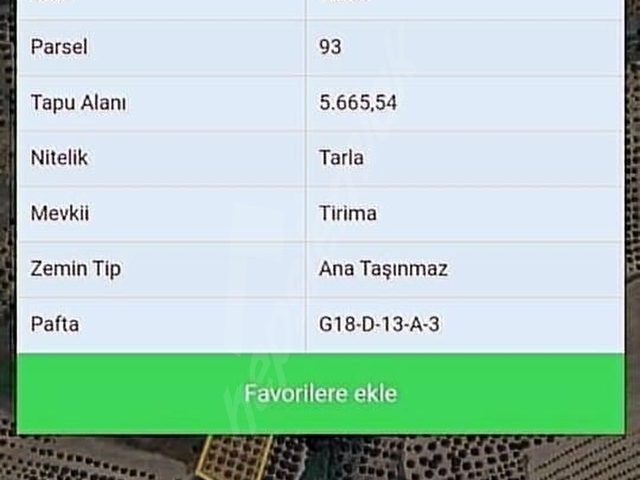 DURU EMLAKTAN.ARAÇ TAKASLI CAMİKEBİR DE ZEYTİNLİK - Görsel 10