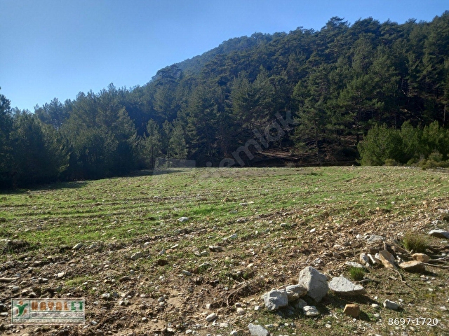 HAYALETTEN DAĞPINAR MAH.YATIRIMLIK ÇİFTLİK ARAZİSİ - Görsel 23