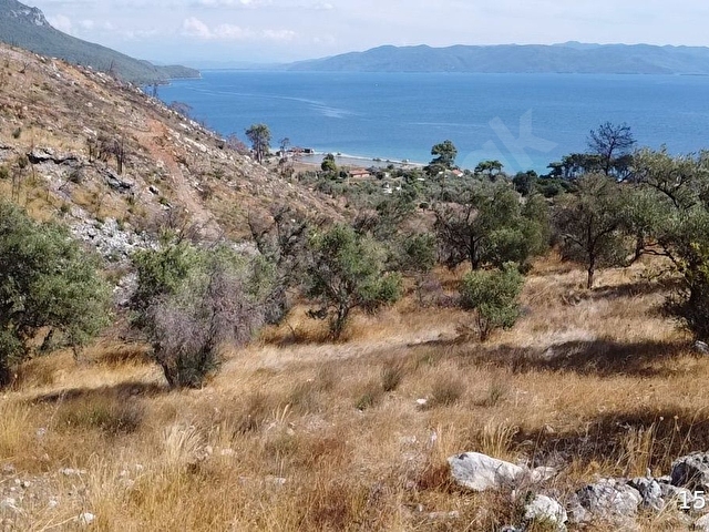 MENTEŞE KIRAN MAHALLESİN DE MUHTEŞEM DENİZ MANZARALI TARLA - Görsel 9