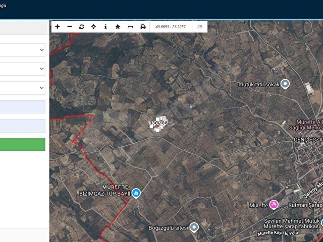 Tekirdağ Şarköy Müreftede 8.226 m² Satılık Zeytinlik - Görsel 7