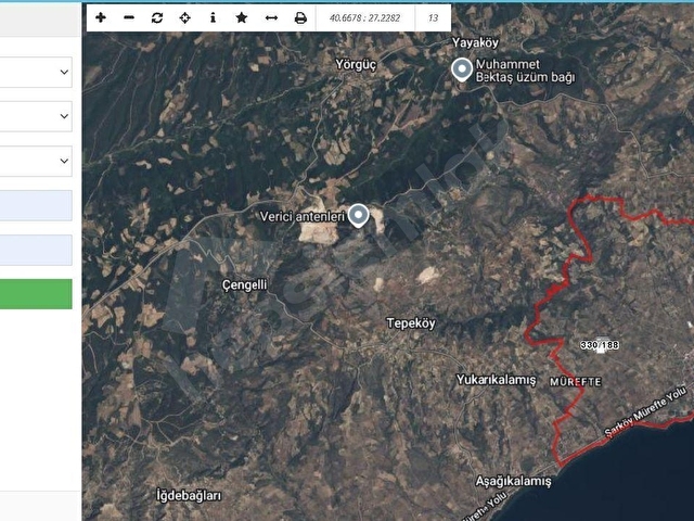 Tekirdağ Şarköy Müreftede 8.226 m² Satılık Zeytinlik - Görsel 6