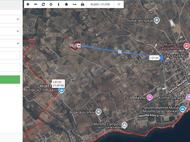 Tekirdağ Şarköy Müreftede 8.226 m² Satılık Zeytinlik - Görsel 4
