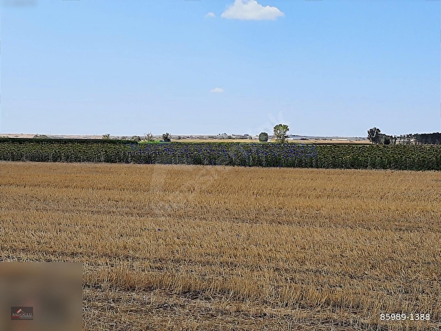 LÜLEBURGAZ OVACIKda 2.032 m2 Acil Satılık - Görsel 14