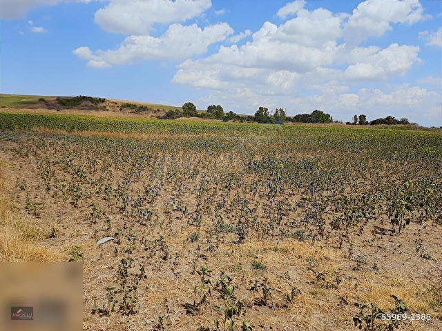 LÜLEBURGAZ OVACIKda 2.032 m2 Acil Satılık - Görsel 10