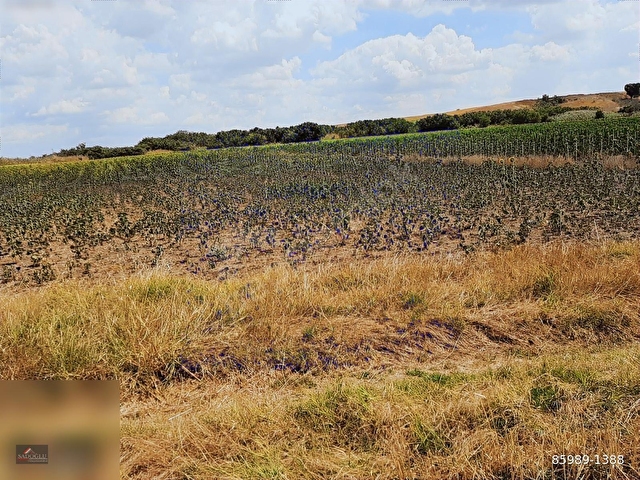 LÜLEBURGAZ OVACIKda 2.032 m2 Acil Satılık - Görsel 15