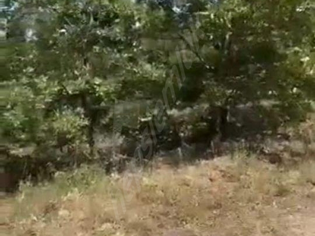 BOZÜYÜK KARABAYIRDA GESE 700 M, SANAYİYE 4 KM, KARE PARSEL - Görsel 3