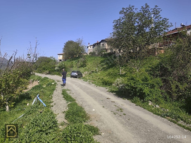BAREMDEN SEVİNCER KÖYÜNDE KÖY İÇİ İMARLI BAHÇE - Görsel 6