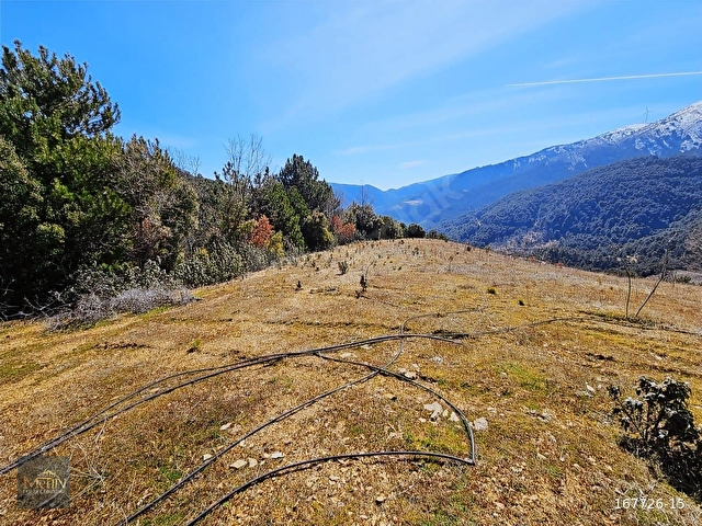 MANİSA ALAŞEHİR EVRENLİ MAHDE SATILIK 14.763 m2 HİSSELİ TARLA