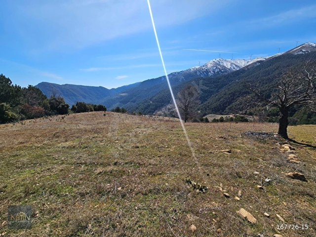 MANİSA ALAŞEHİR EVRENLİ MAHDE SATILIK 14.763 m2 HİSSELİ TARLA - Görsel 7