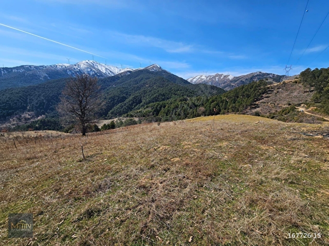 MANİSA ALAŞEHİR EVRENLİ MAHDE SATILIK 14.763 m2 HİSSELİ TARLA - Görsel 8