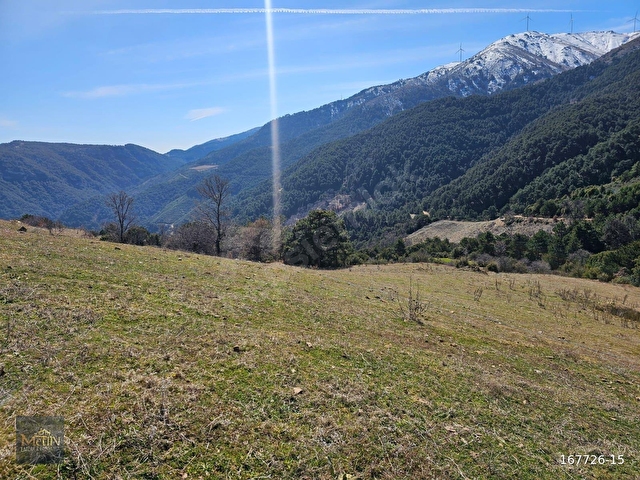 MANİSA ALAŞEHİR EVRENLİ MAHDE SATILIK 14.763 m2 HİSSELİ TARLA - Görsel 9