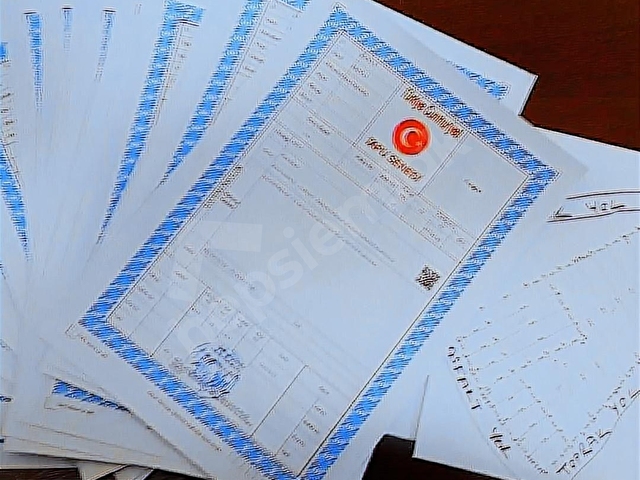 3 VİLLA SIĞAN 1160 METREKARE TEK TAPU İMARLI ARSA CAZİP FİYATA. - Görsel 6
