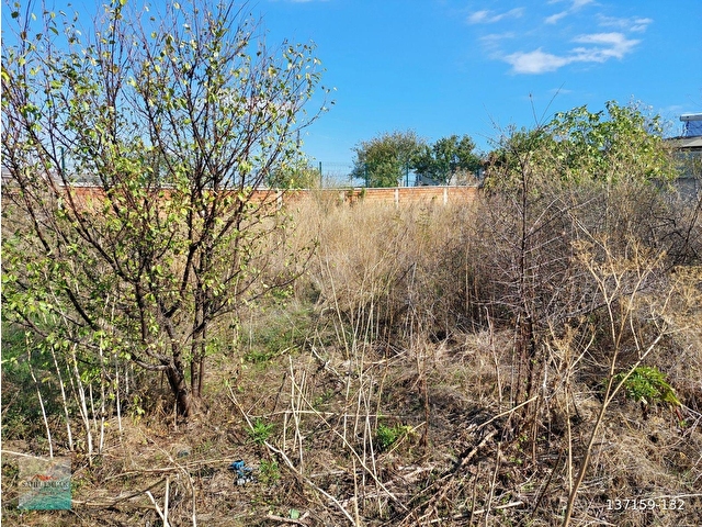 TEKİRDAĞ  NAİP MAHALLESİ SATILIK  517 m2  MÜSTAKİL ARSA - Görsel 5