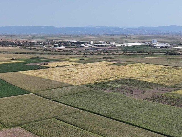 KARACABEY HARMANLIDA 5 DÖNÜM SATILIK FIRSAT TARLA - Görsel 3