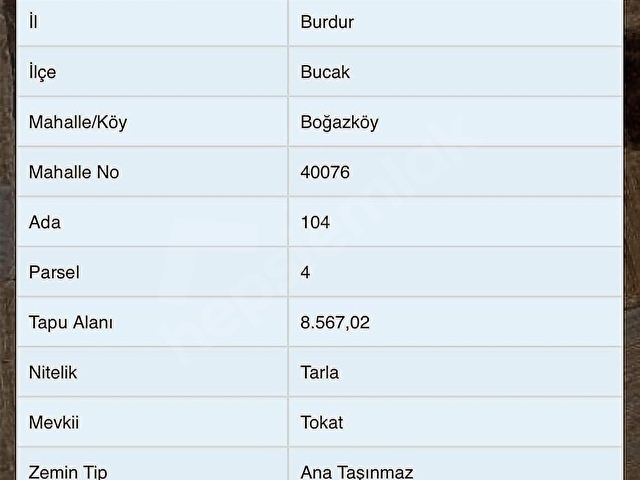 BURDURANTALYA KARAYOLUNA CEPHE 8.567 M² RESMİ YOLU OLAN TARLA - Görsel 3