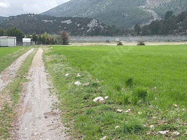 ANTALYA KORKUTELİ BAYATBADEMLERİNDE SATILIK TARLA 16484 M2 - Görsel 2