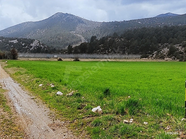 ANTALYA KORKUTELİ BAYATBADEMLERİNDE SATILIK TARLA 16484 M2 - Görsel 9