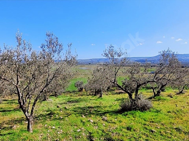 Ayvacık Gülpınar (Atatürk) Satılık