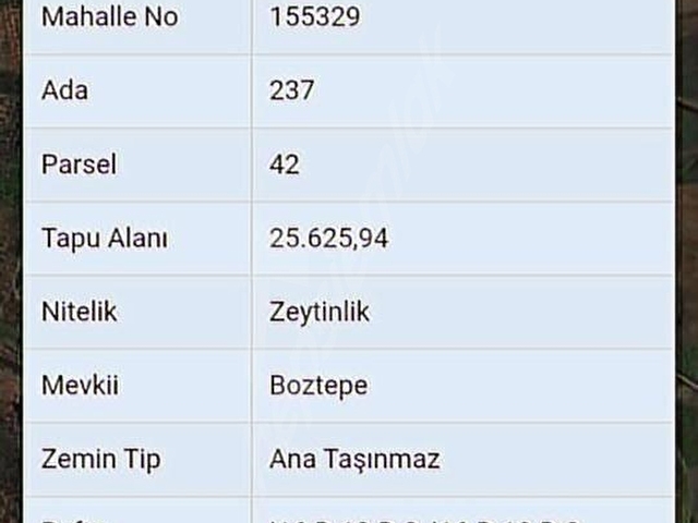 AYVACIK GÜLPINAR KÖYÜNDE FUL DOĞA DENİZ MANZARALI ZEYTİNLİK - Görsel 15