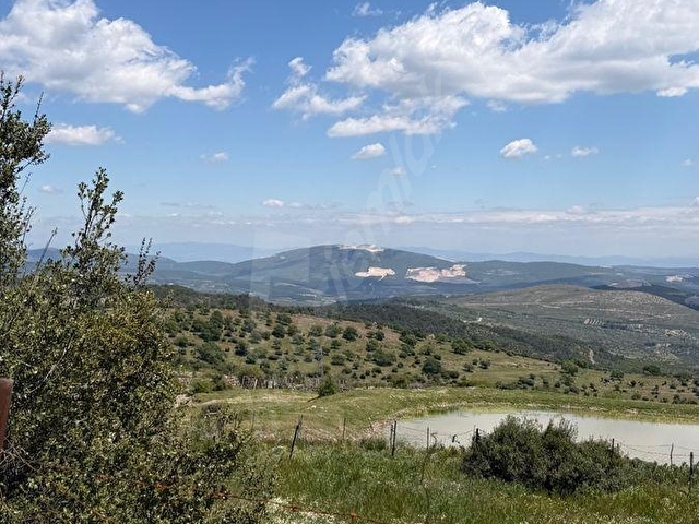 GÖKBEL MH FIRSAT YATIRIM 2.500 m2 TARLA - Görsel 7