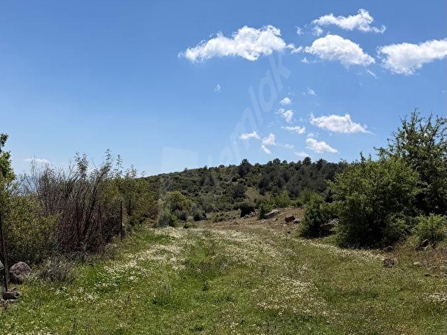 GÖKBEL MH FIRSAT YATIRIM 2.500 m2 TARLA - Görsel 15