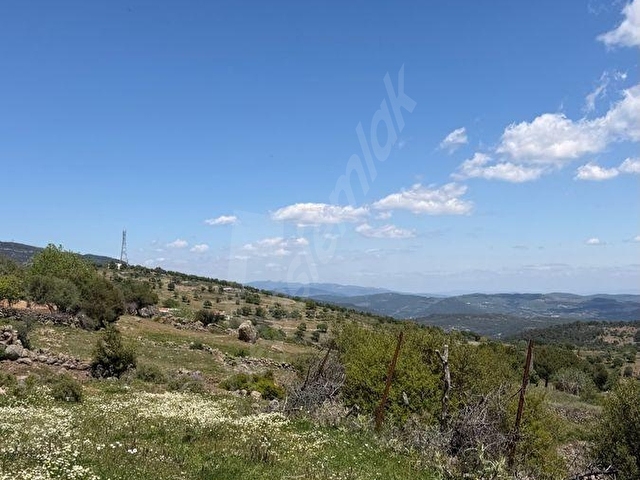 GÖKBEL MH FIRSAT YATIRIM 2.500 m2 TARLA - Görsel 16