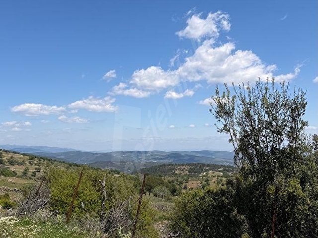 GÖKBEL MH FIRSAT YATIRIM 2.500 m2 TARLA - Görsel 20
