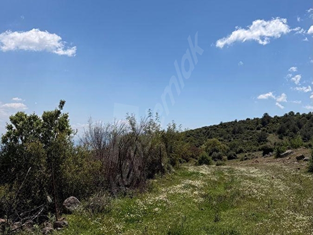 GÖKBEL MH FIRSAT YATIRIM 2.500 m2 TARLA - Görsel 30