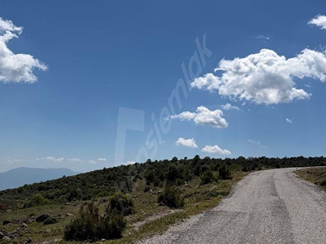 GÖKBEL MH FIRSAT YATIRIM 2.500 m2 TARLA - Görsel 25