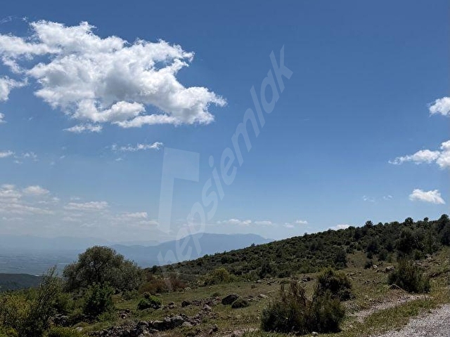 GÖKBEL MH FIRSAT YATIRIM 2.500 m2 TARLA - Görsel 27