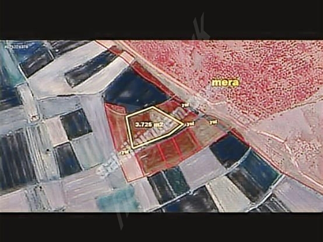 TEKİRDAĞ SARAY SİNANLI DA SATILIK 3762 M2 TEK TAPU - Görsel 4
